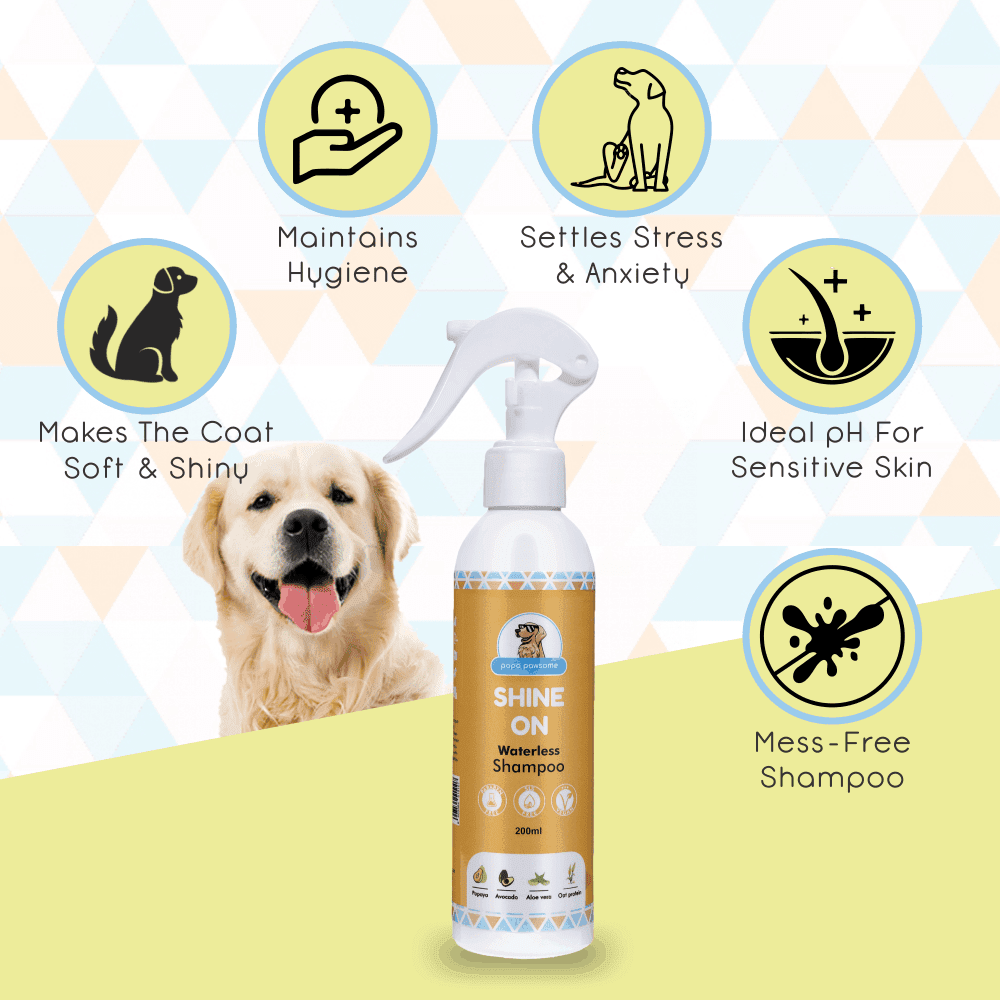 Wholesale Dog Shampoo Online