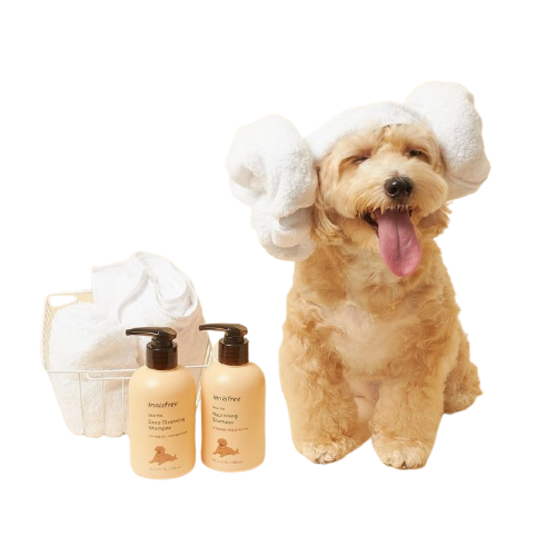 Buy dog whole pet shampoo Online