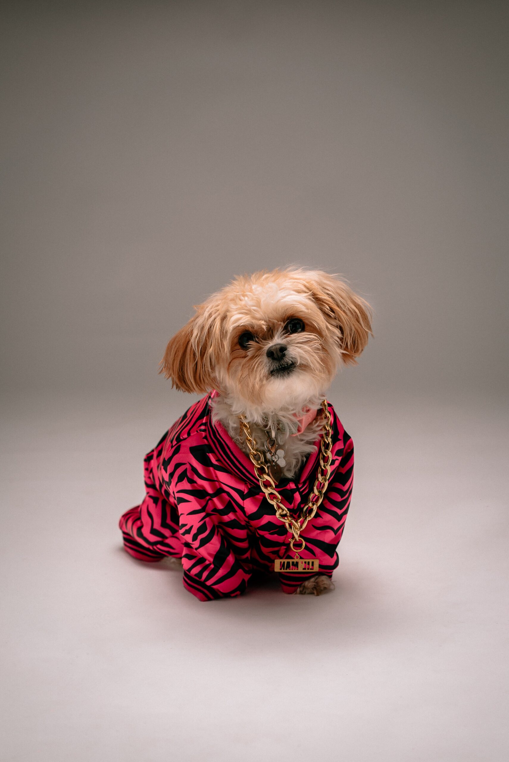 New Designer Pet Clothes Wholesale From India